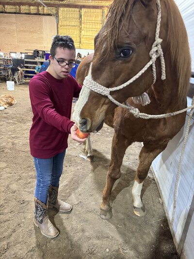 A man feeding a horse an apple at Spirit's Respite Ranch, located near Edmonton, Alberta, fostering a peaceful and caring bond between the animal and handler.