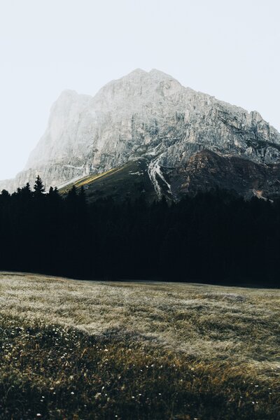Breathtaking mountain view with pine trees at Crowsnest Pass in Southern Alberta