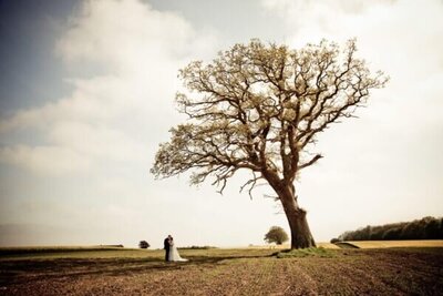 professional photographer for weddings with couple in a field under a tree
