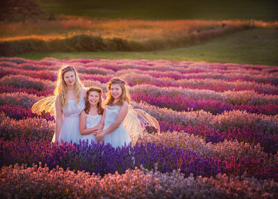 fairies lavender seattle sisters girls