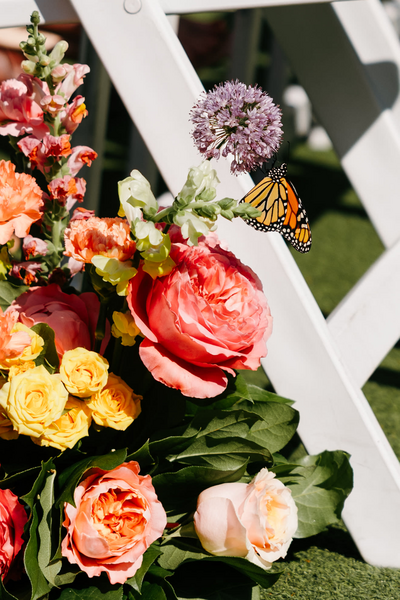 Your go-with-the-flow Minnesota wedding photographer. Real laughs, big love, and true-to-life photos — because forever should feel fun.