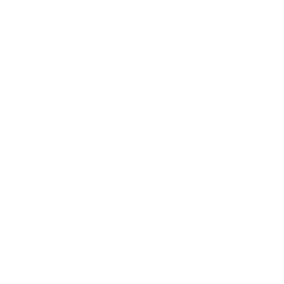sunshine shannon photography logo