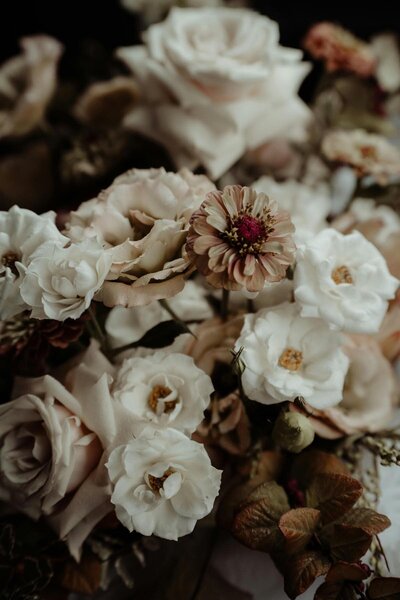 pexels-hellojoshwithers-16625671 (1)