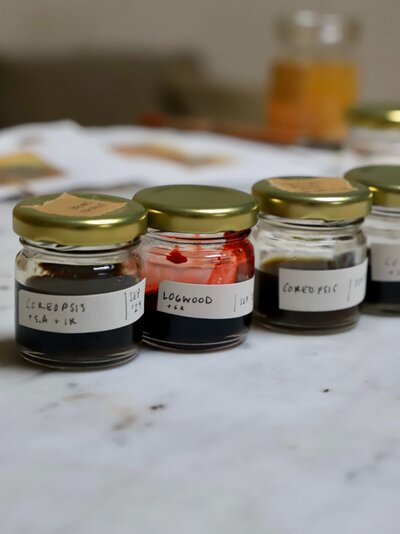 How to make paint from plants