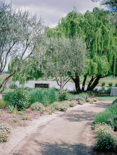 A path leading to a tree and a bench in a serene outdoor wedding setting.