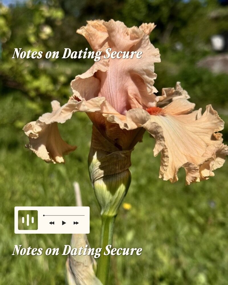 Notes on Dating Secure