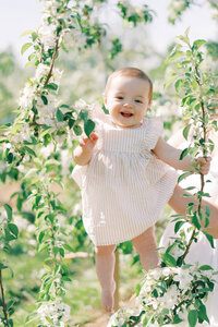 Terri-Lynn Warren Photography Halifax Family Photographer Spring Apple Blossoms Orchard Mini Session Photos 2024-08206