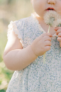 Terri-Lynn Warren Photography Oaklynn TL Waverly Spring Apple Blossoms Orchard 2024-07358