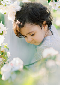 Terri-Lynn Warren Photography Halifax Family Photographer Spring Apple Blossoms Orchard Mini Session Photos 2024-00706