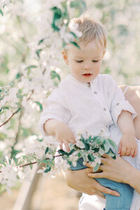 Terri-Lynn Warren Photography Halifax Family Photographer Apple Blossom Spring Mini Sessions Wolfville-5356