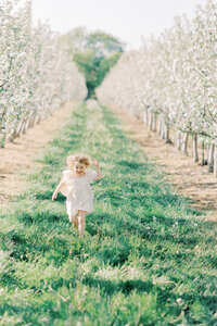 Terri-Lynn Warren Photography Halifax Family Photographer Apple Blossom Spring Mini Sessions Wolfville-1698