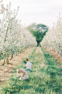 Terri-Lynn Warren Photography Halifax Family Photographer Apple Blossom Spring Mini Sessions Wolfville-5385