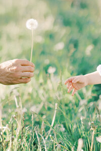 Terri-Lynn Warren Photography Halifax Family Photographer Apple Blossom Spring Mini Sessions Wolfville-5473