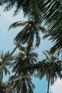 pexels-dương-nhân-3042374
