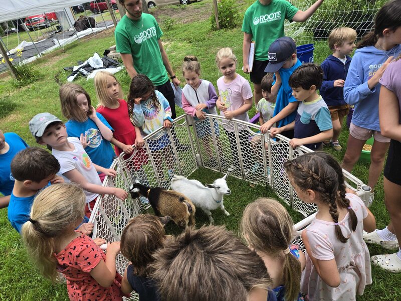 A group of ROOTS students meeting the farm goats