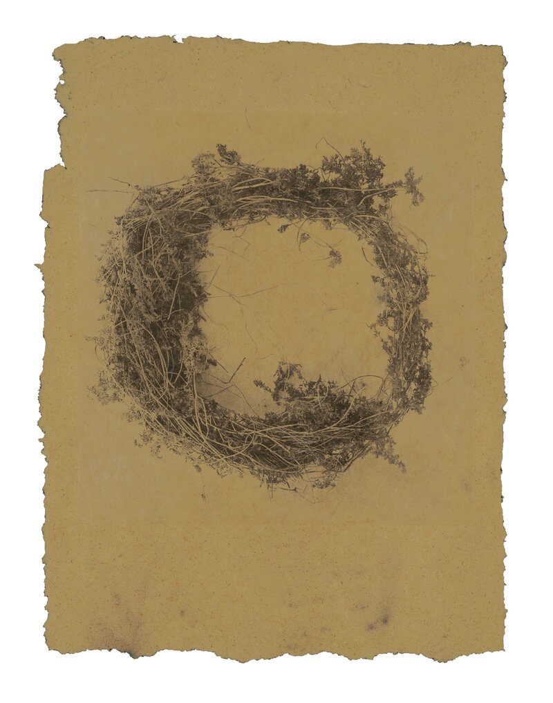 Photogravure by Trina Michelle Robinson showing a circular wreath of twigs or foliage, printed on textured raffia palm paper.