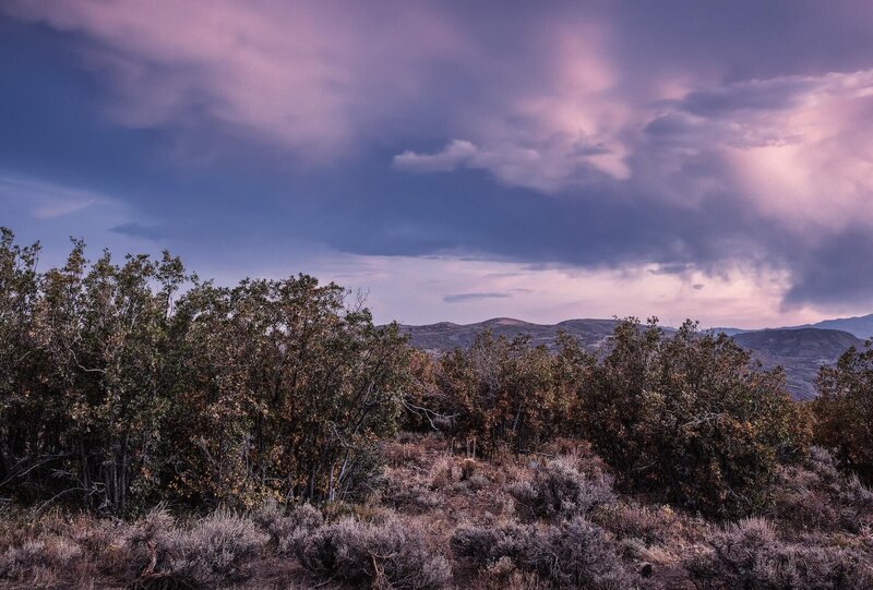 BSK_Exteriors_Landscape_JD-51