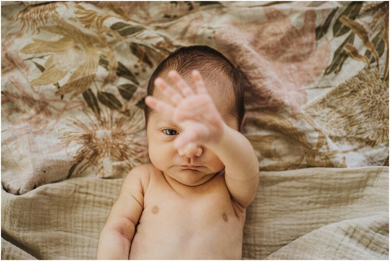 Newborn_Photographey_Port_Macquarie_1008