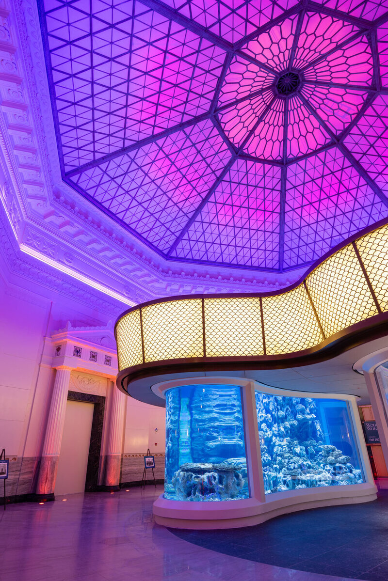 Shedd Aquarium corporate event photoshoot