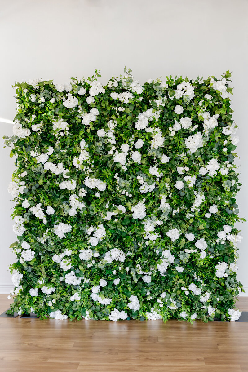 Floral wall with green leaves and white roses.