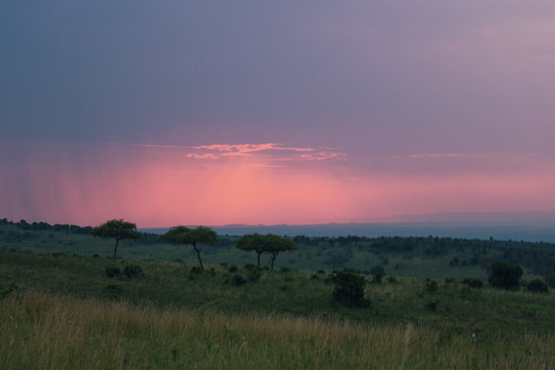 safariedited-537