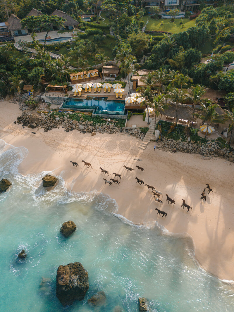 Herd of horses running along a pristine tropical beach beside a luxury oceanside resort.