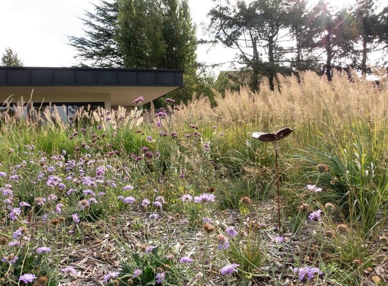 Esquisse d'un jardin arboré donnant sur une maison