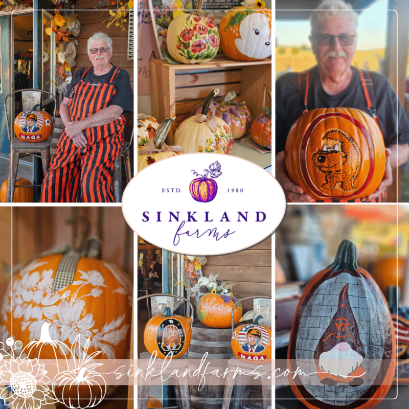 2024Sinkland-Farms_Pumpkin-Festival_Creative-Designs-by-Renee_Vote-on-Eds-Pumpkins