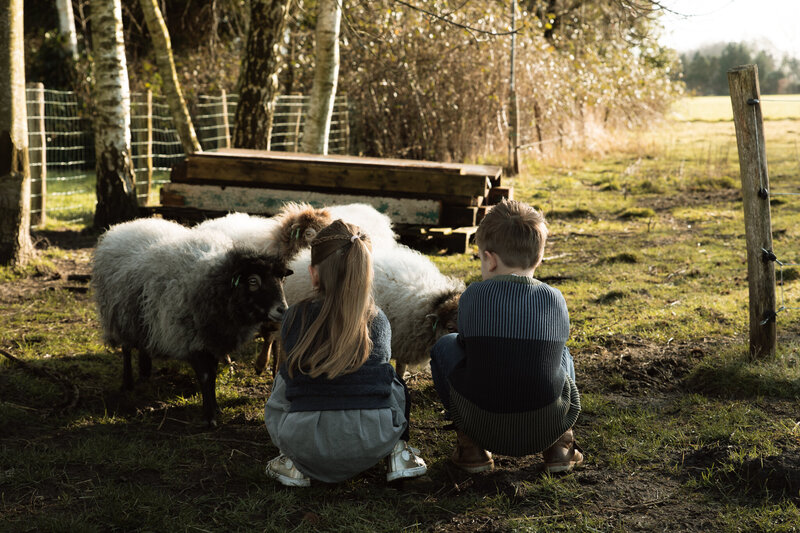 lanoukfotografie_alledaagsgeluk_gezinsshoot-2-2