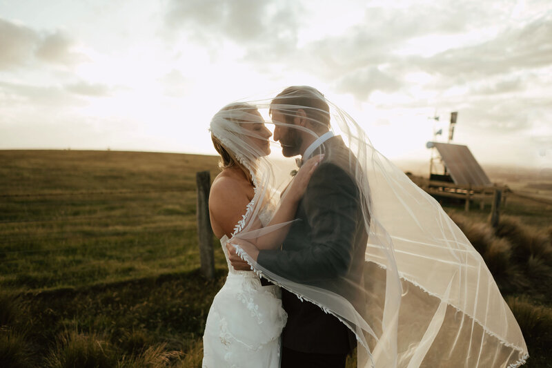 Bride & Groom bridal party Wedding  photos ,  at Trents Winery  by Tracey Allsopp Photography