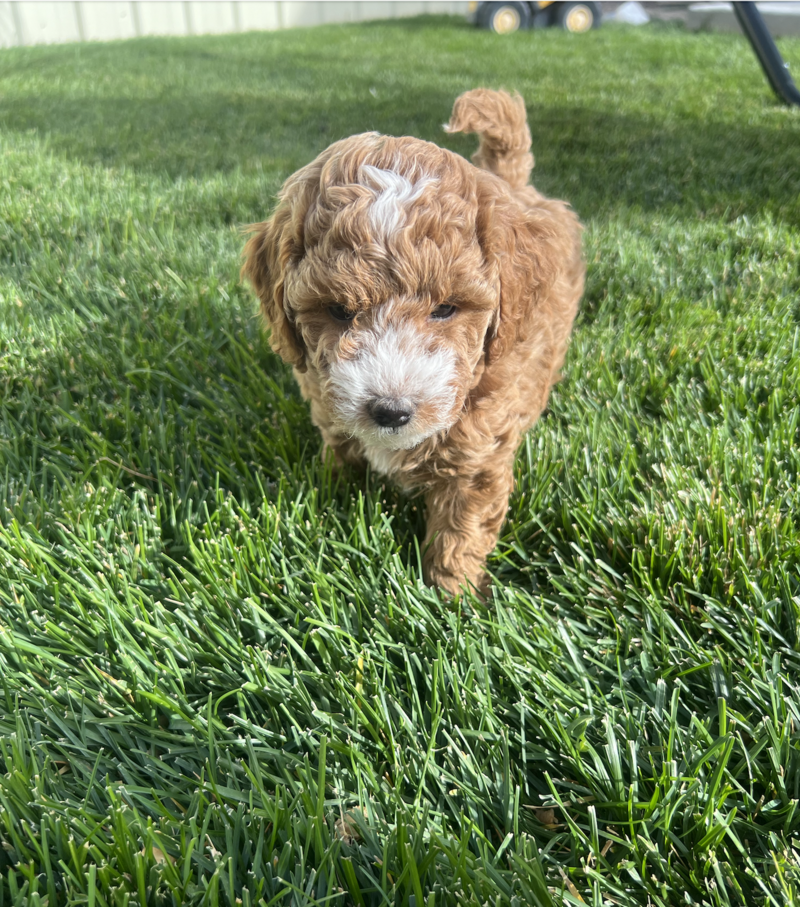 Screenshot 2024-09-24 at 6.30.10 AM