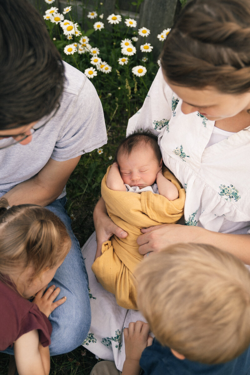 Family-7