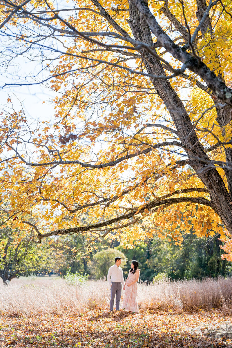 Walpole MA maternity photos_francis william bird park10