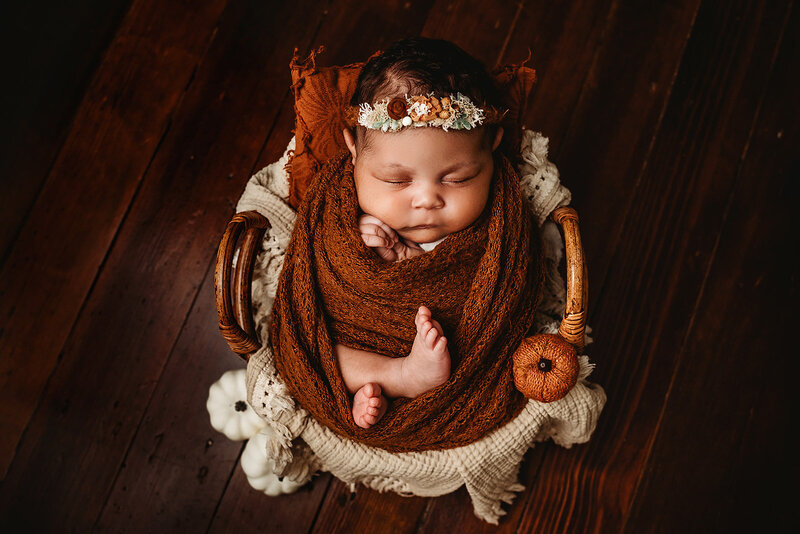 Alessandra_Preview-2_websize