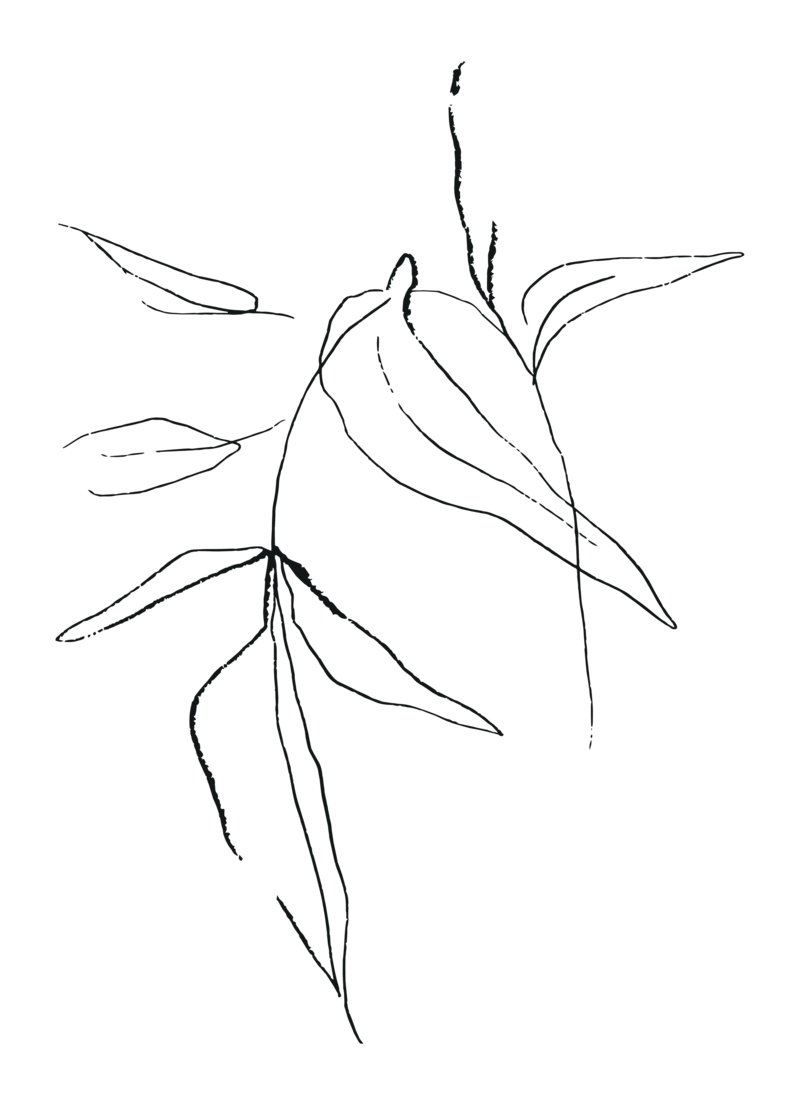 Flower line art