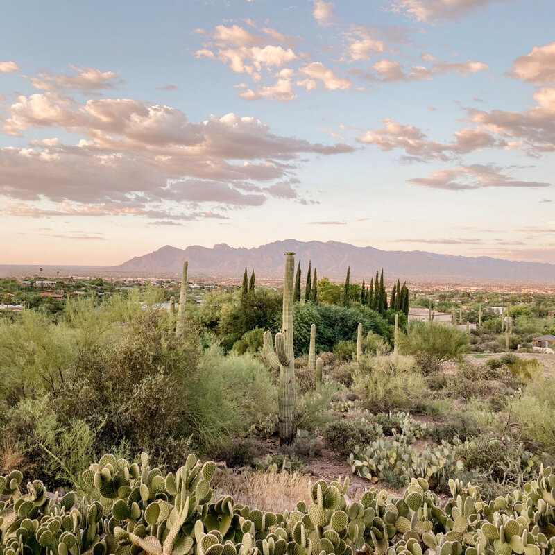 Tucson Wedding Photographers Pure in Art Photography