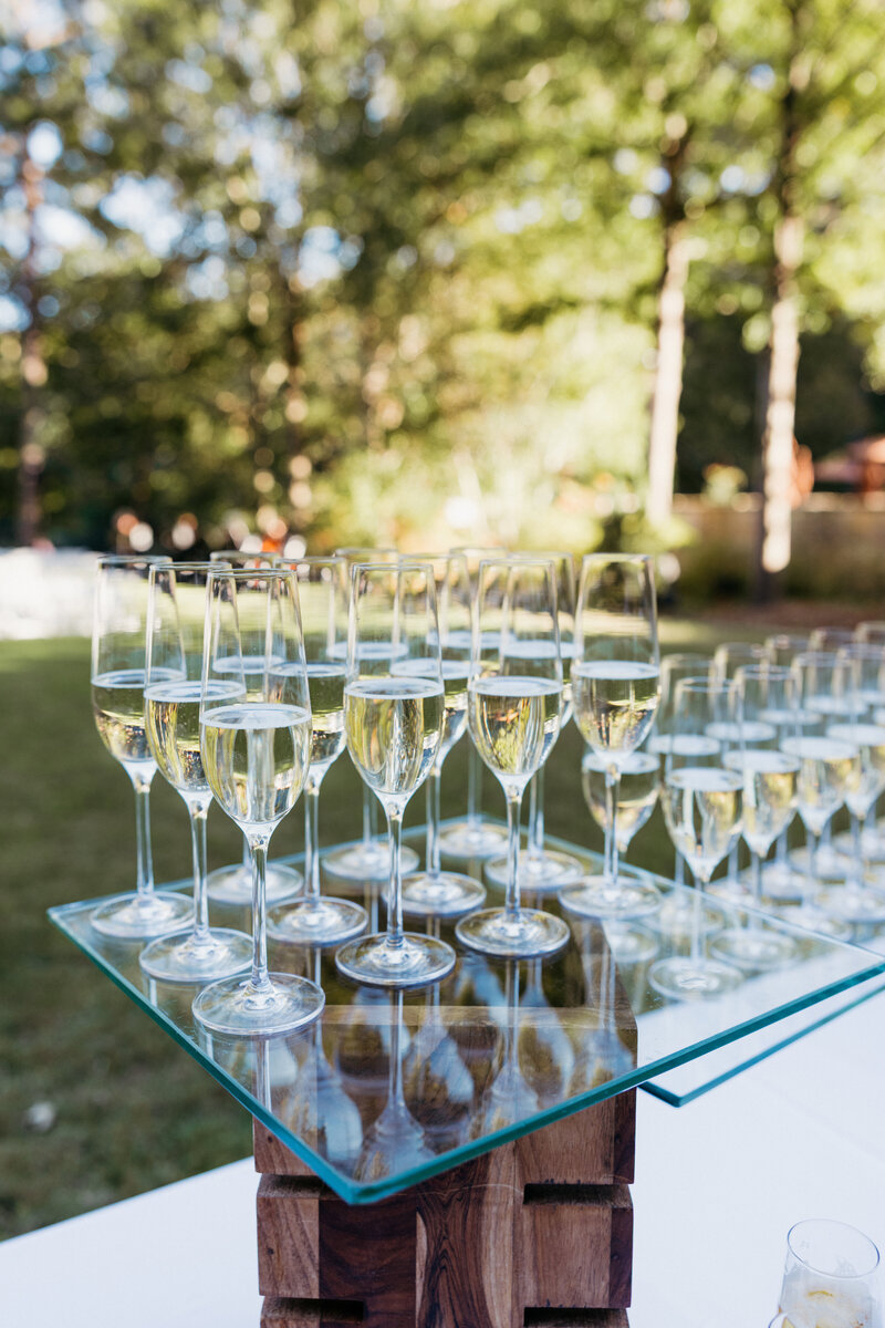 Umpstead-Wedding-3