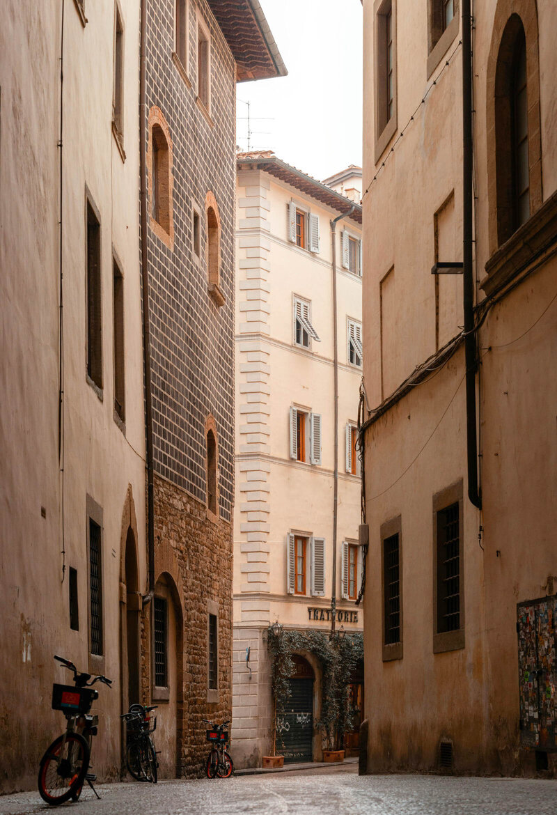 A dreamy European alleyway perfect for slow strolls and quiet moments amid ivy-draped buildings.