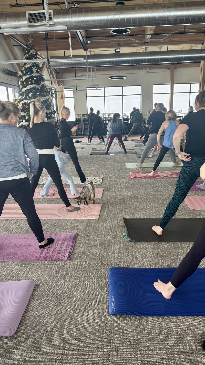 community yoga 2