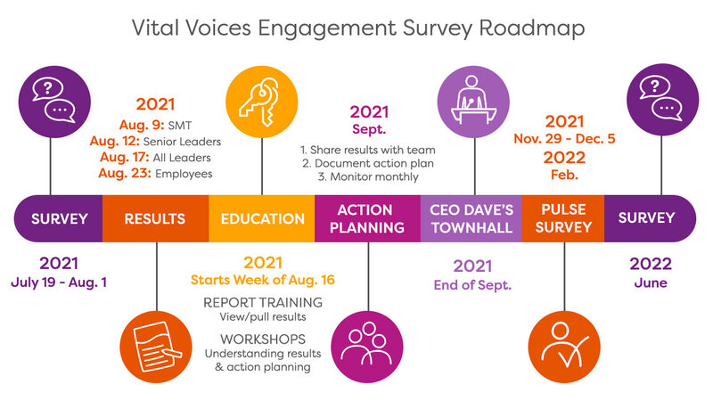 Vital Voices Engagement Survey Roadmap
