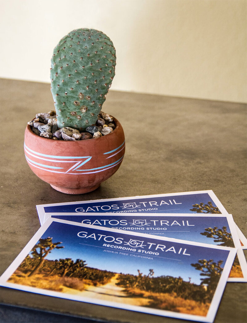 Destination Branding closeup mini cactus on table next to Gatos Trail Recording Studio postcards