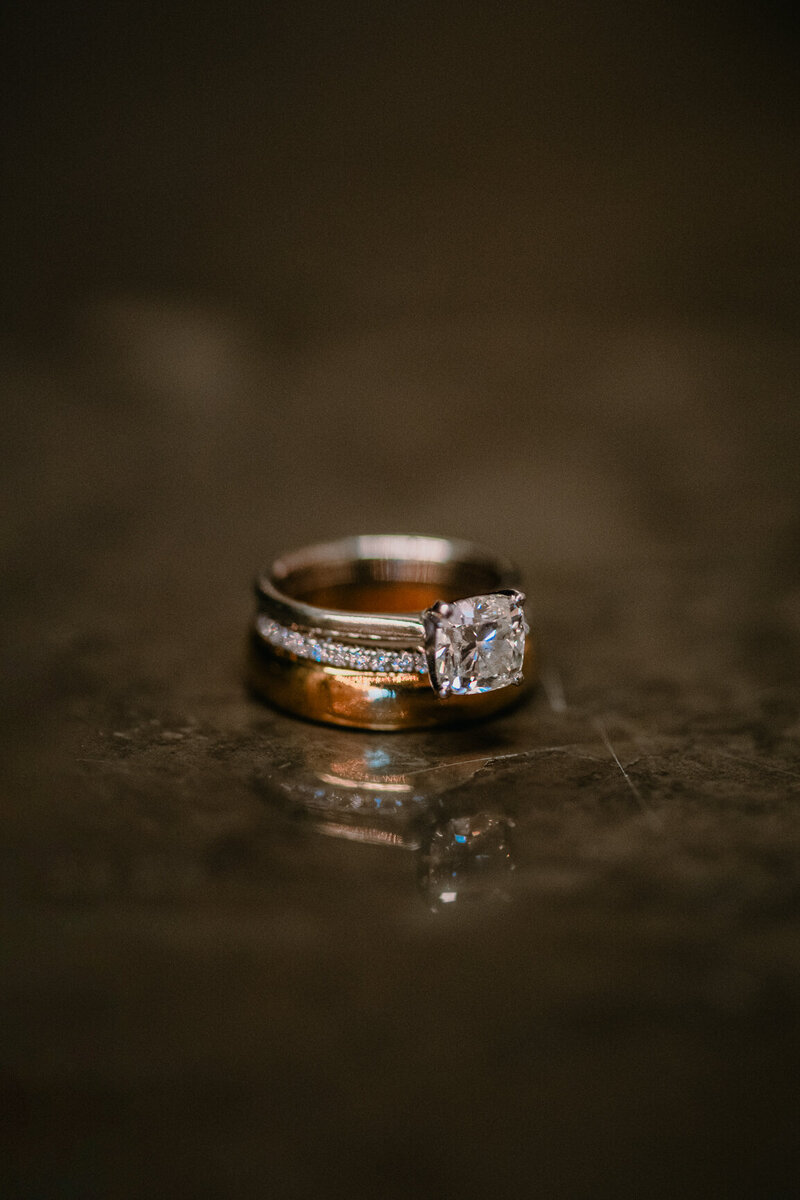 DSC_0502-Edit