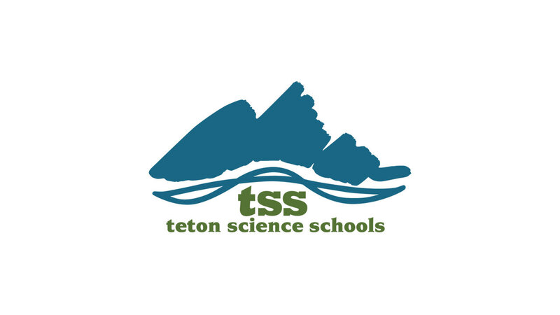 TSS-News-Release-Image