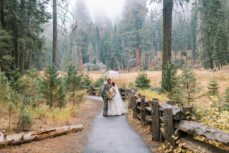 Sequoia National Park Engagement Session