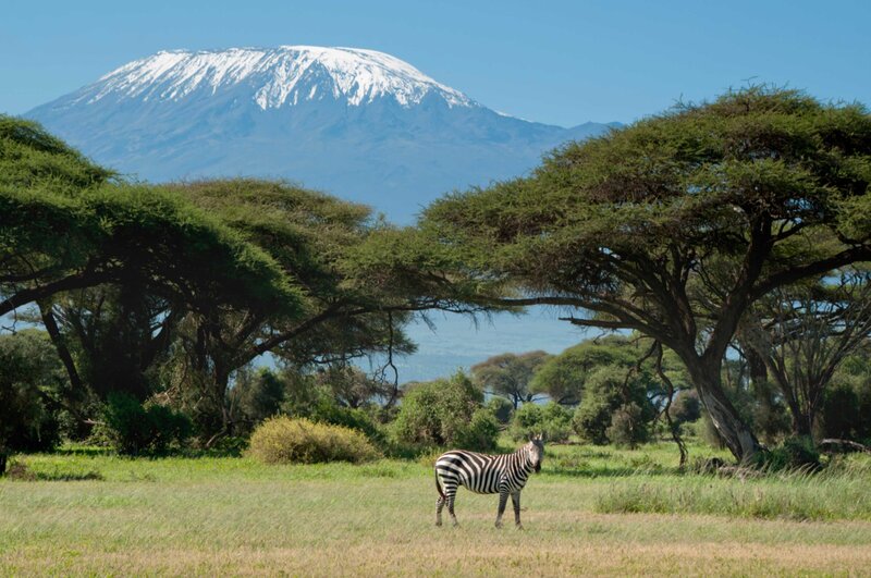 Tanzania Safari  (8)