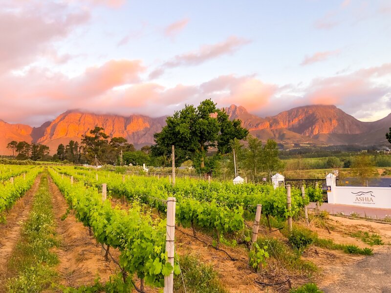 South african sunset from Ashia cheetah conservation grounds