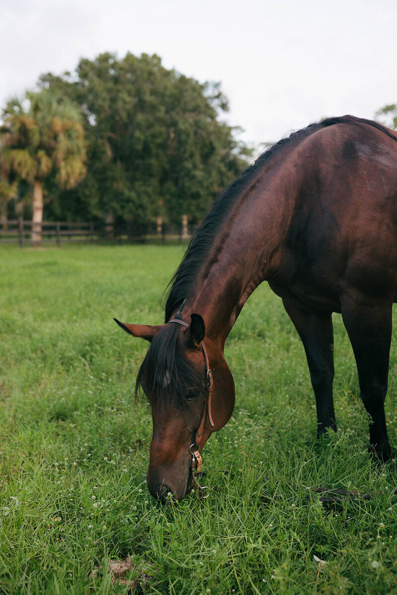 cristinapowellphoto-DQ2A7244_websize