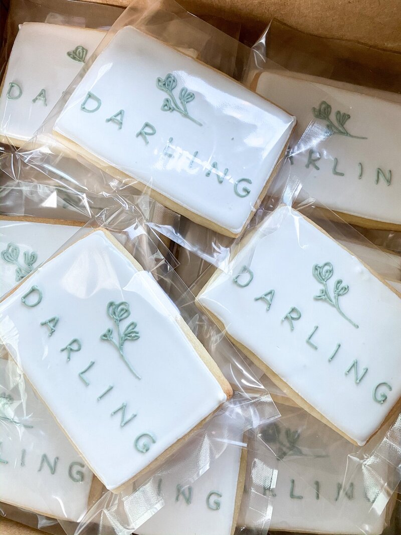 Darling-Maine-Photography-Studio_0003