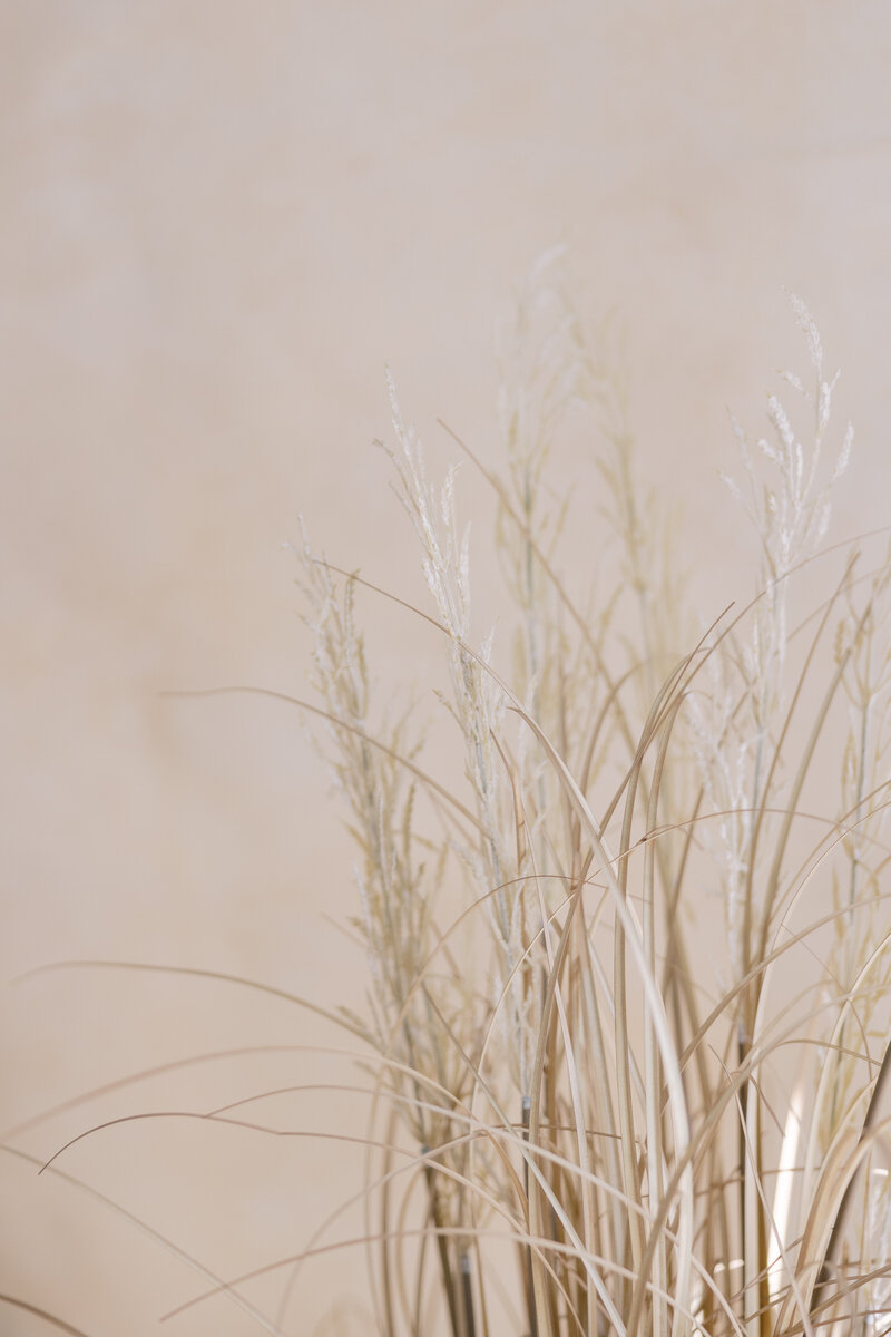 A creamy hand painted background with straw in front artistically photographed