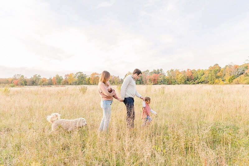 Family walks through field during outdoor newborn photo session with Sara Sniderman Photography in Wellesley Massachusetts